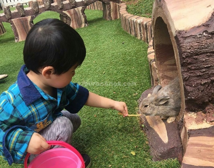 Park Ranch Adventureland