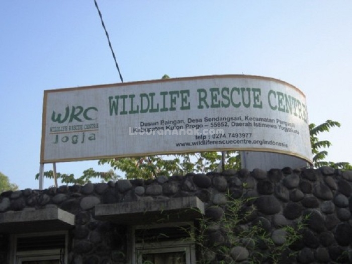 Wildlife Rescue Centre Jogja