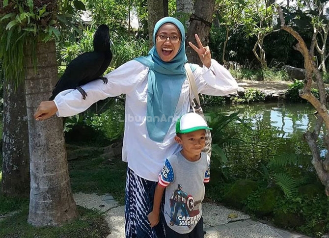 Berlibur ke Bali Bird Park