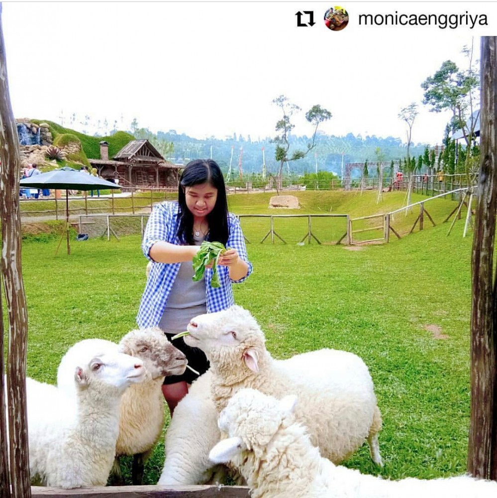 Kegiatan anak di The Ranch Puncak