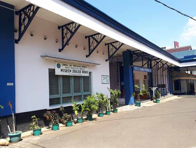 Museum Zoologi Bogor