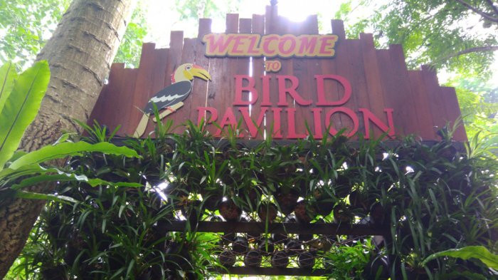 Taman Burung di Bandung: Bird & Bromelia Pavilion