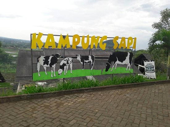 Kampung Sapi Adventure