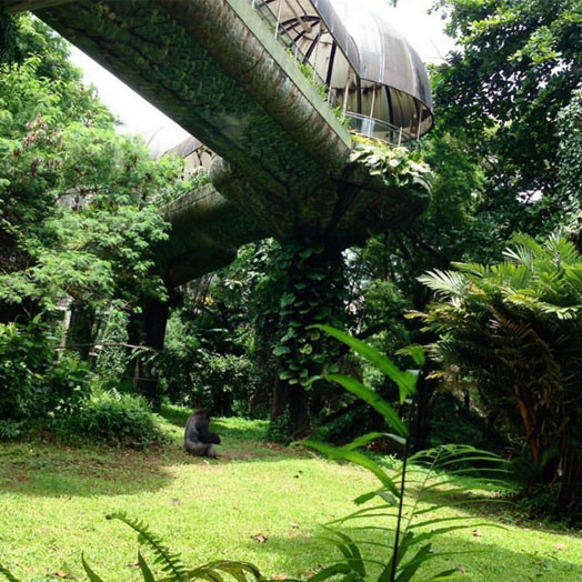 Pusat Primata Schmutzer