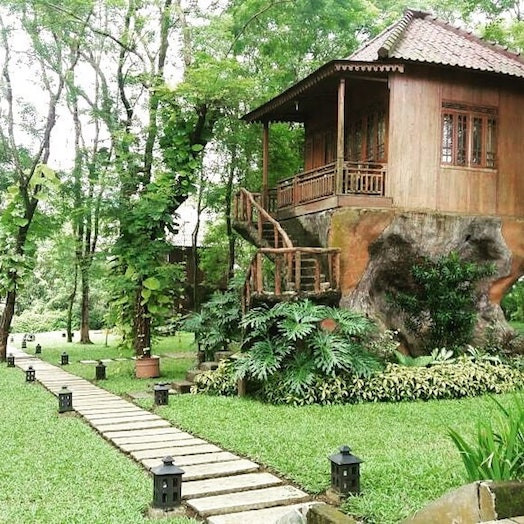 Rumah Pohon Leo Mekarsari