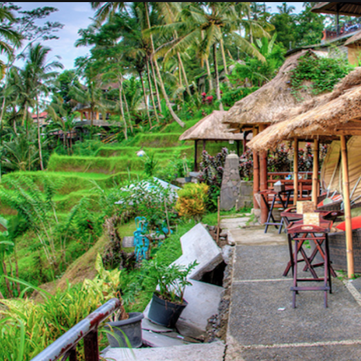 Sawah Terasering Tegallalang