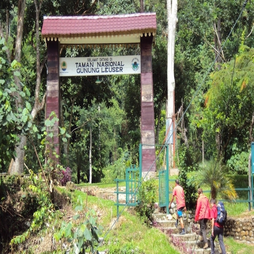 Taman Nasional Gunung Leuser
