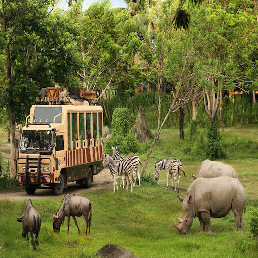 Bali Safari and Marine Park 