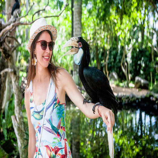 Bali Bird Park