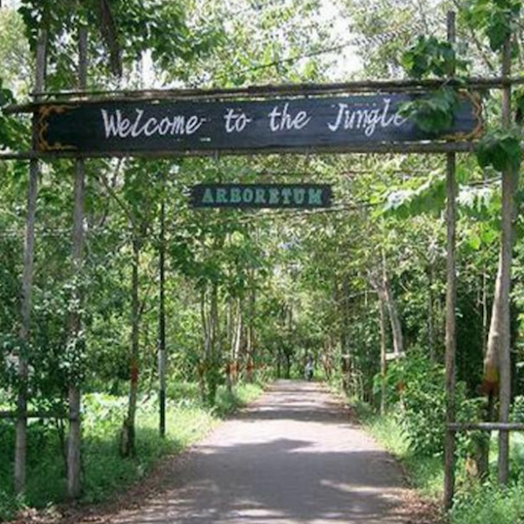 Hutan Kota Untan 