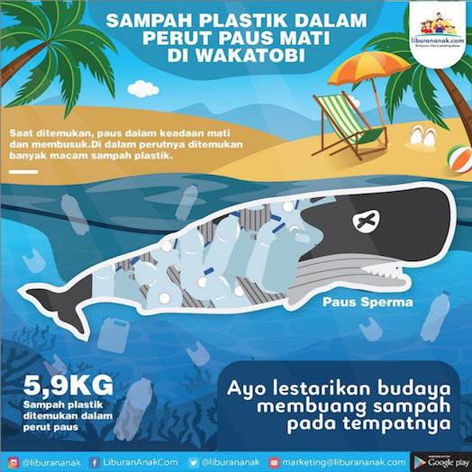 Sampah Plastik Dalam Perut Paus Mati di Wakatobi