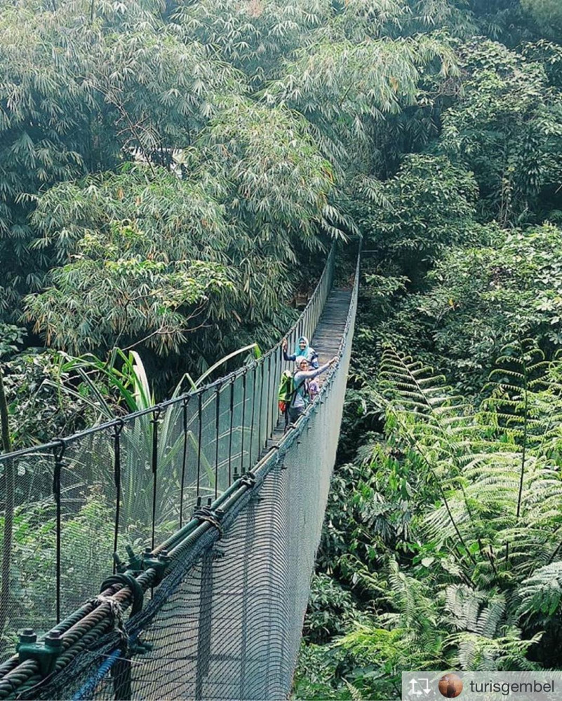 Taman Nasional Gunung Halimun