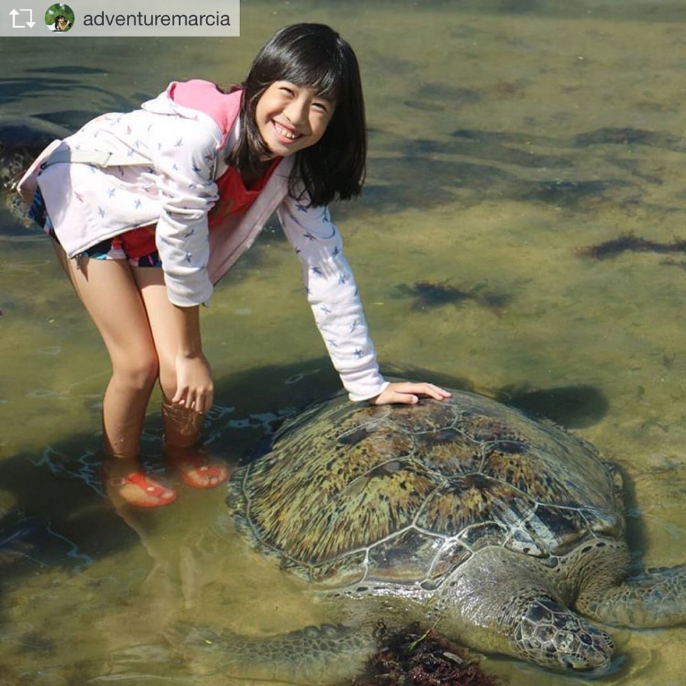 Turtle Island Tanjung Benoa