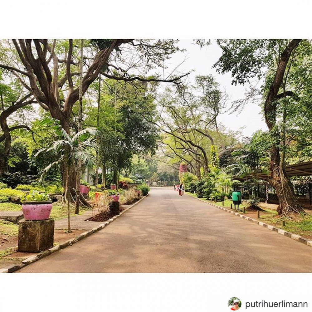 Taman Margasatwa Ragunan