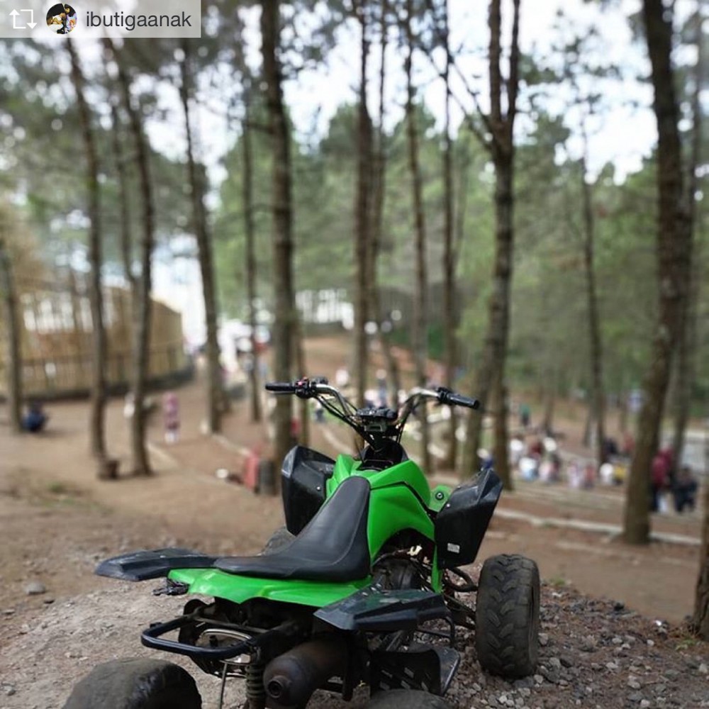 Kamojang Ecopark