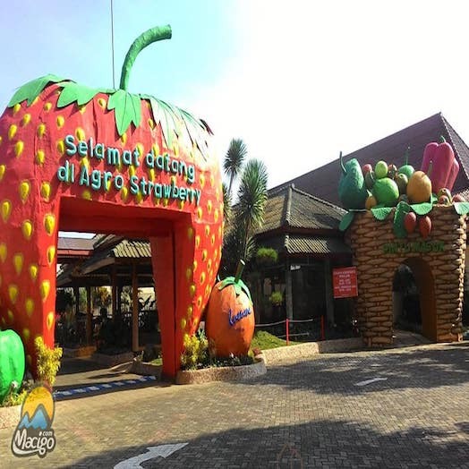 Kusuma Agrowisata