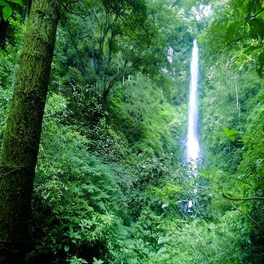 Coban Rais