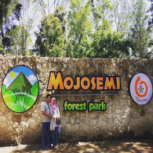 Mojosemi forest park